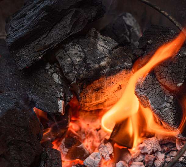 Hoe kies je de beste houtskool voor je kamado?