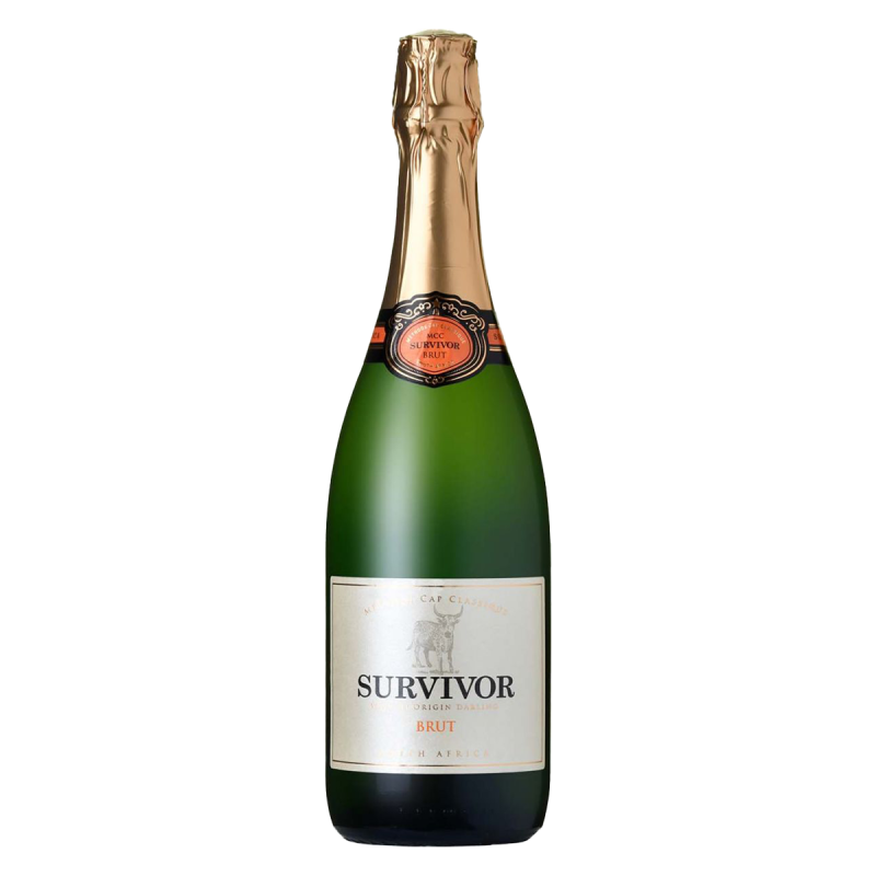 Survivor MCC brut 2019