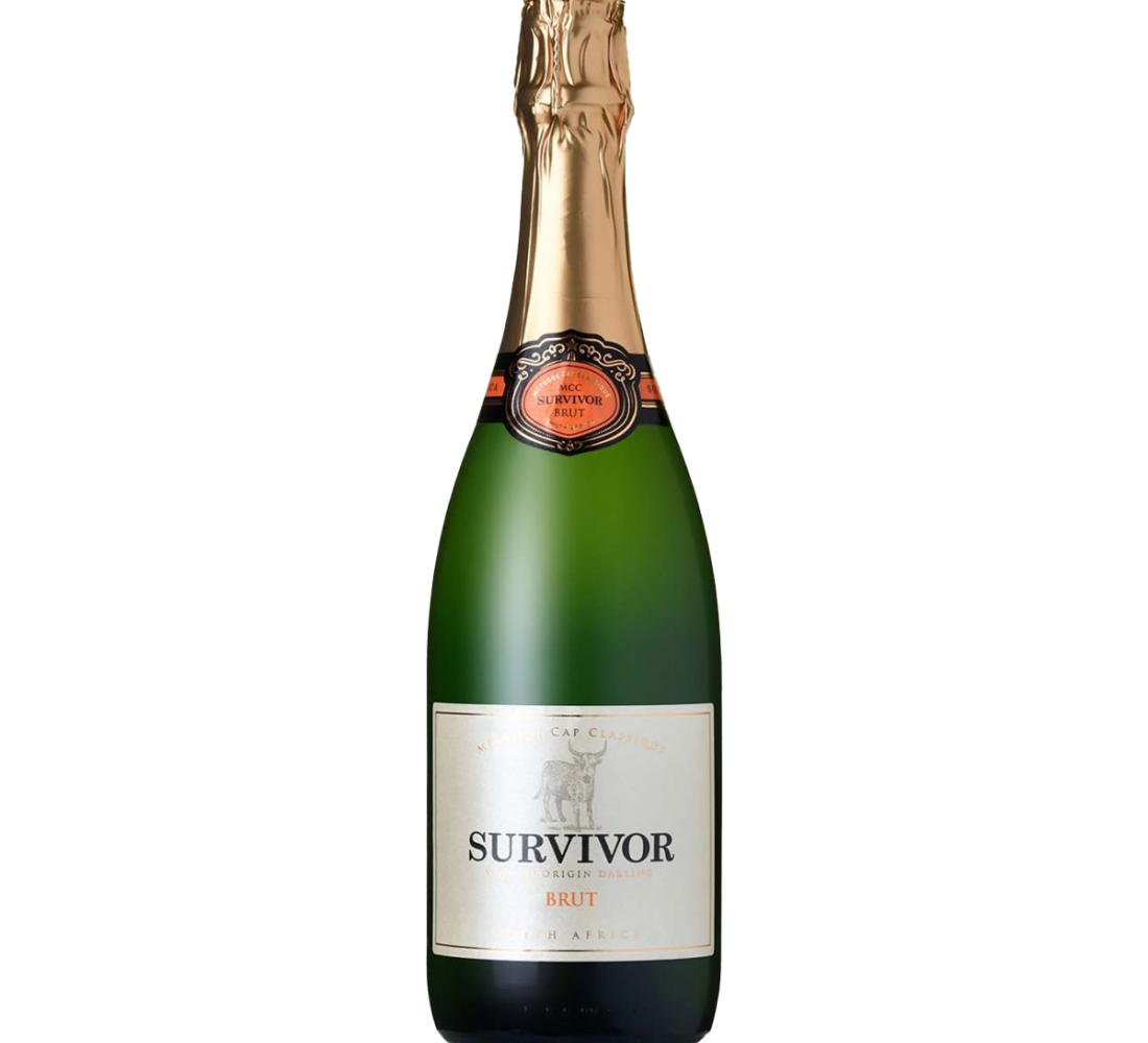 Survivor MCC brut 2019