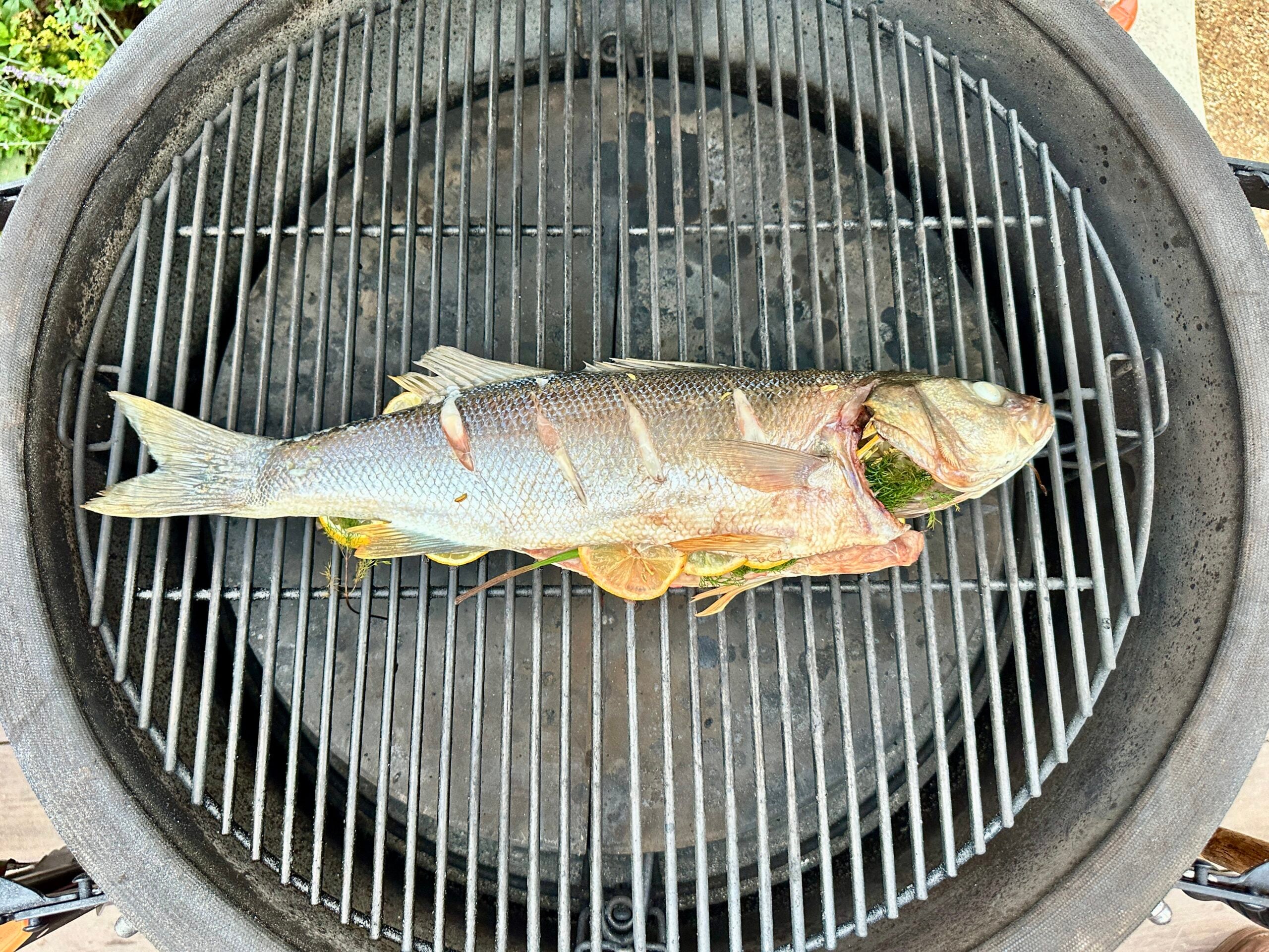 Hele zeebaars van de kamado