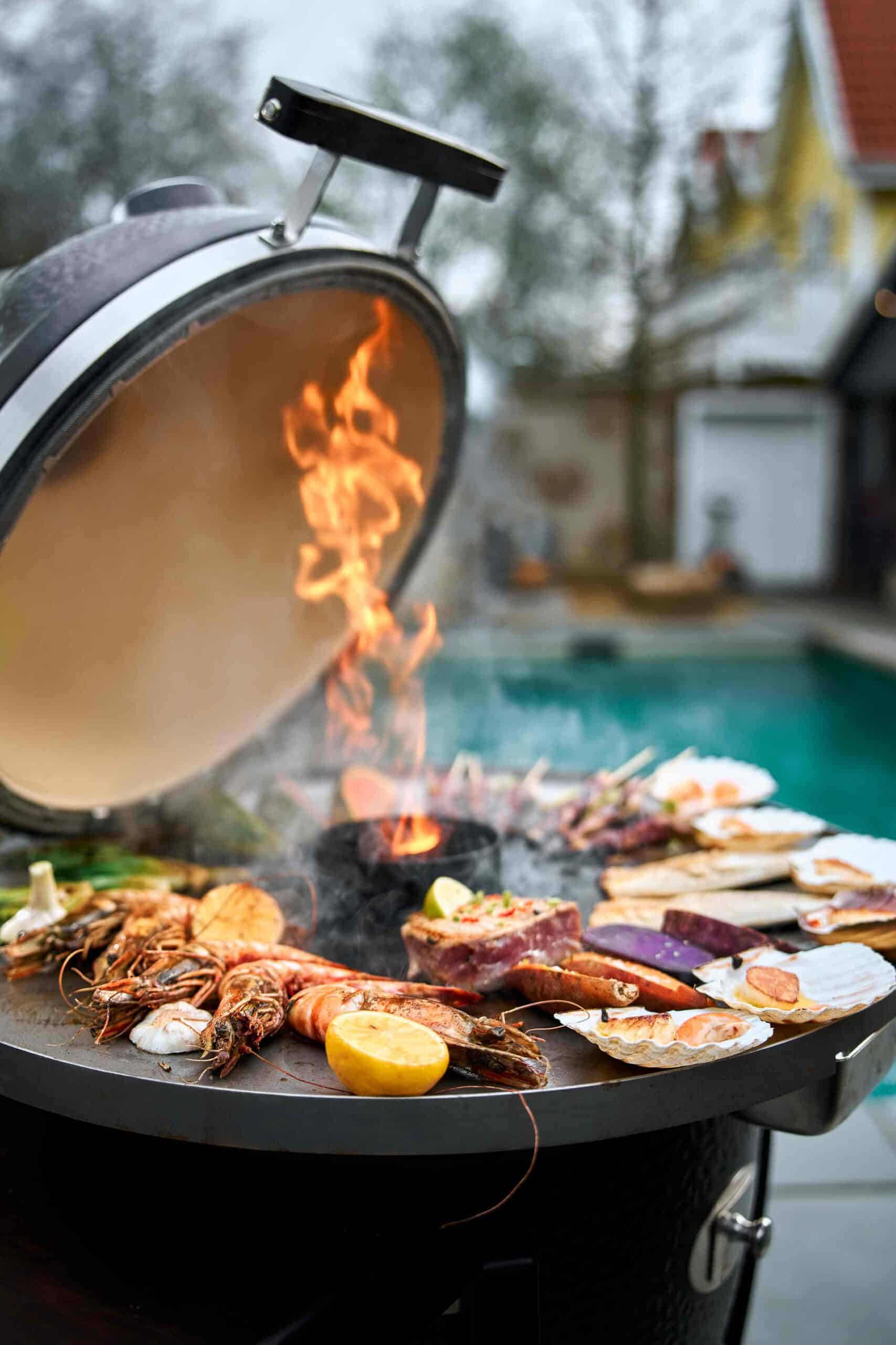 Monolith LeChef fireplate