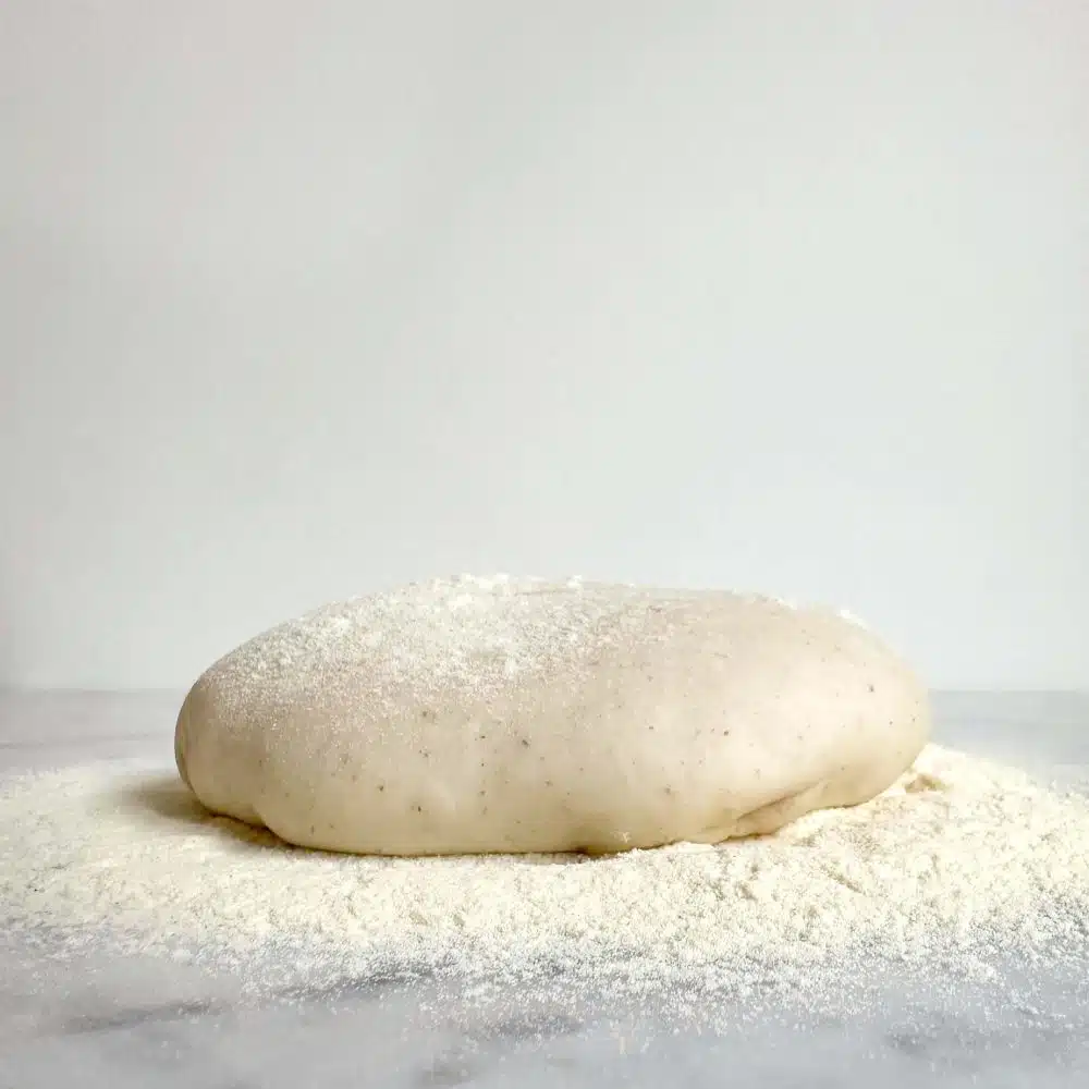 Ambachtelijke pizzadeeg bol van zuurdesem