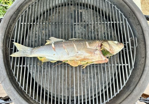 Hele zeebaars van de kamado