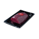 Limousin chateaubriand (ossenhaas)