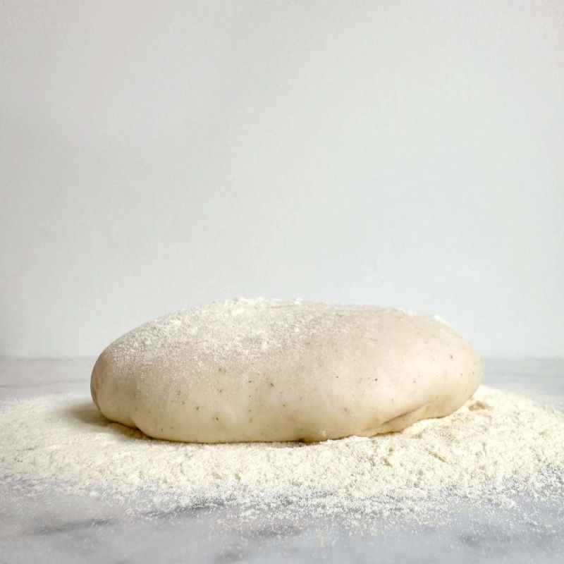 Ambachtelijke pizzadeeg bol van zuurdesem