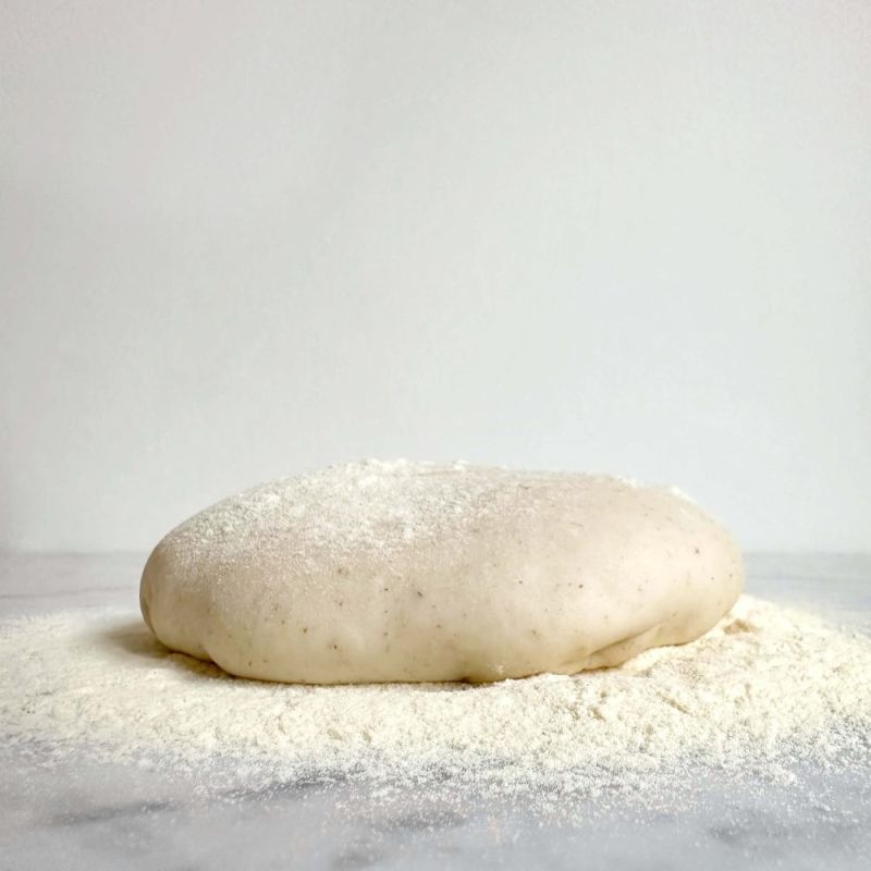 Ambachtelijke pizzadeeg bol van zuurdesem