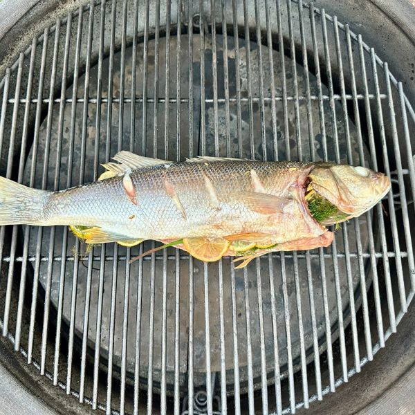 Hele zeebaars van de kamado