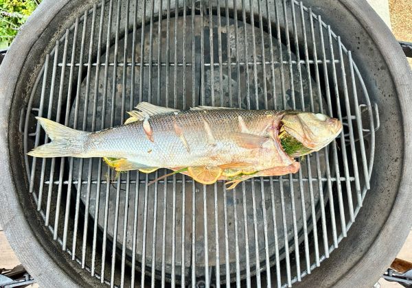 Hele zeebaars van de kamado