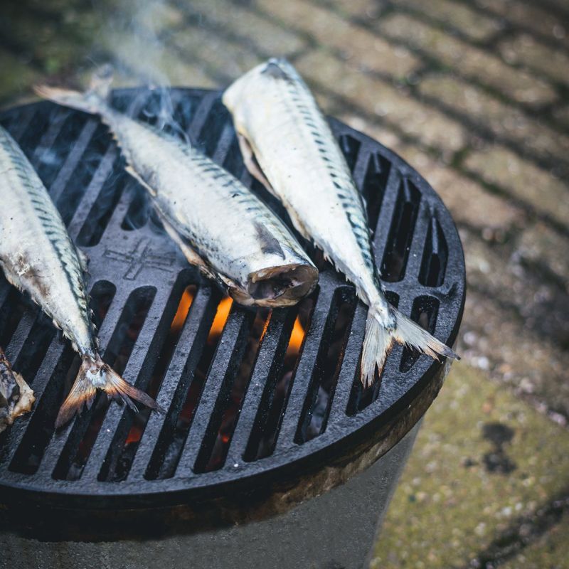 The Windmill Grillrooster (gietijzer)